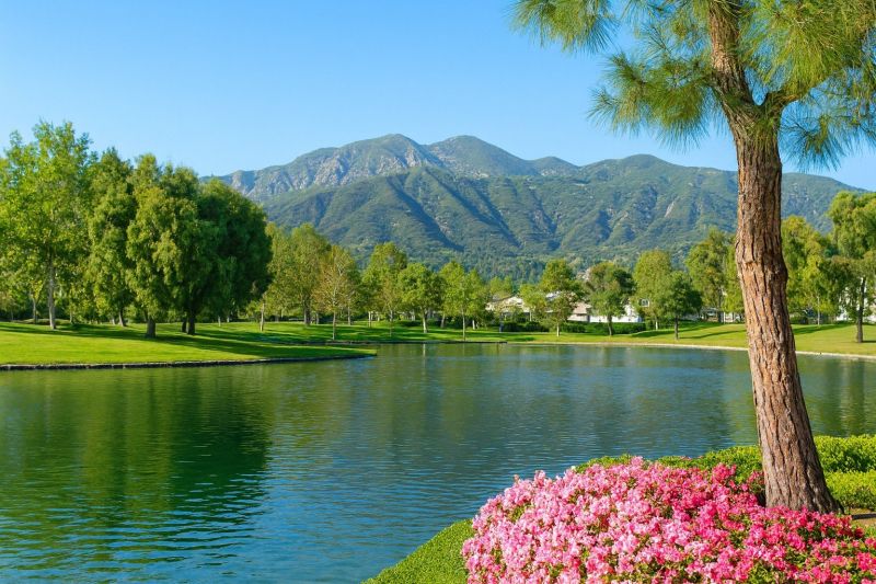 Asphalt Paving in Rancho Santa Margarita, CA